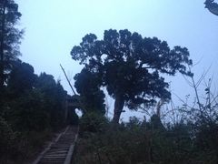 -金堂县云顶石城风景区