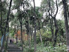 -云龙山