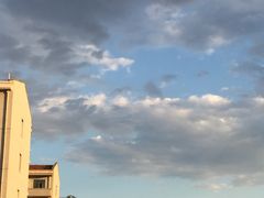 -南开大学滨海学院