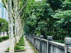 -重庆彩云湖湿地公园