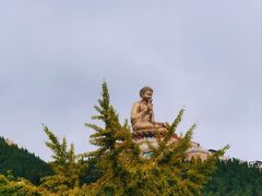 -龙口南山旅游景区