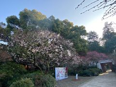 -岳王庙