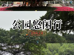 -南宁南湖公园
