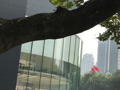 -Apple零售店(新街口店)