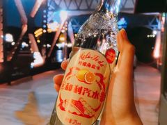 -武汉知音号