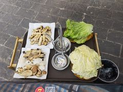 -蘑统田下·野生菌火锅