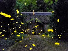 -灵谷景区