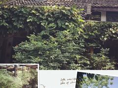 -旅马餐厅(茅家埠店)