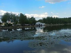 -长春市南湖公园