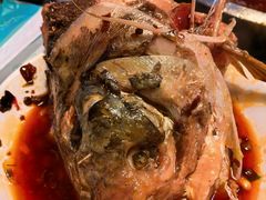 -花鲢鱼头火锅(春城东路店)