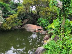 -厦门园林植物园-植物园滴水山房
