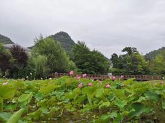 -贵阳市花溪国家城市湿地公园