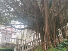 -乌山风景区