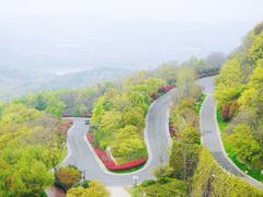 -牛首山文化旅游区