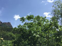 -云岫谷自然风景区
