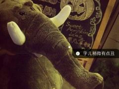 android_upload_pic-Africafe(非洲咖啡)