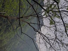-宁波五龙潭景区