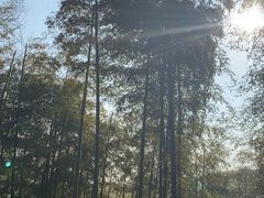 -径山寺