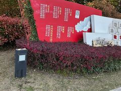 -南翔镇银翔湖公园