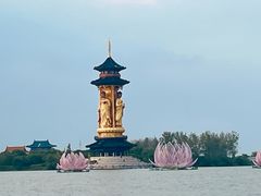 -溱湖国家湿地公园