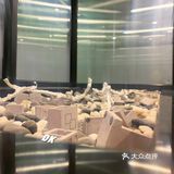 藏不住了，新式杭帮菜天花板｜隐觅·私房菜