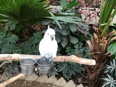 -南宫五洲植物乐园