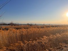 -野鸭湖国家湿地公园