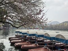 -西湖游船