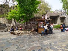 -古北烤梨