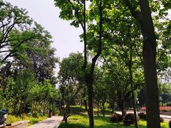-莲花池公园