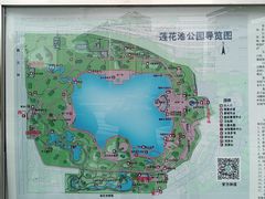 -莲花池公园