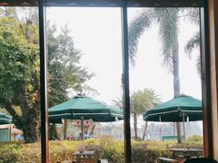 -雨林餐厅(长隆海洋王国店)