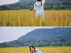 -艾米稻香小镇