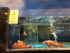 -鹏天阁酒楼·海鲜(红旗店)