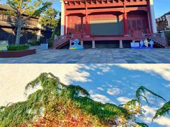 -东海半边山旅游度假区