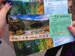 -黄龙山原始森林景区