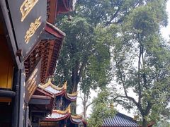 -峨眉山报国寺