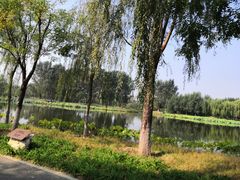 -东郊湿地公园