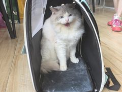-狗不理喵子(百富路店)