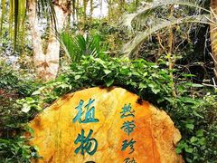 -海南热带野生动植物园