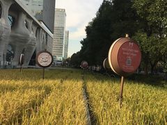 -证大喜玛拉雅中心