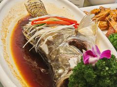 -小贝壳酒楼(经九路店)
