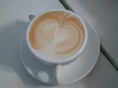 -喵的天空名猫咖啡馆·撸猫·猫舍·用品