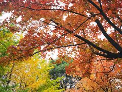 -杭州电子科技大学(下沙校区)