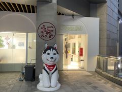 -Husky Go!哈士奇体验馆·宠物咖啡厅狗咖