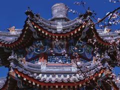 -颐和园