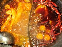 -蜀大侠火锅(总府路店)