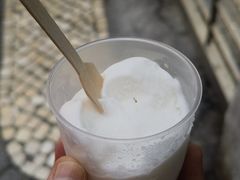 -洪馨椰子