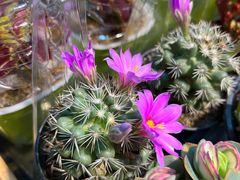 -三旗百汇商品城