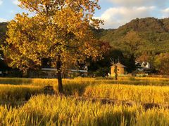 -塔川景区